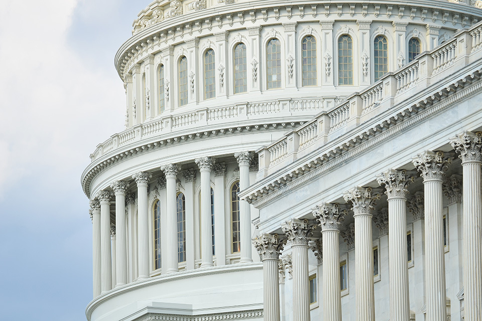 Shutterstock 146591645