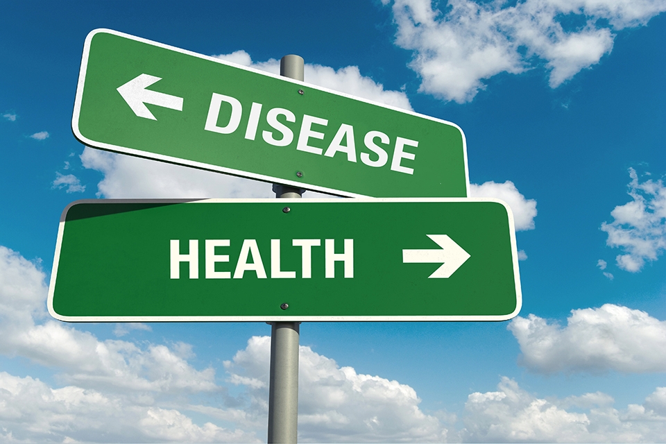 Shutterstock 207952564 960x640